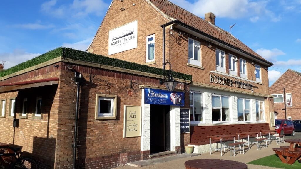 Border Terrier, Marden Estate Admiral Taverns